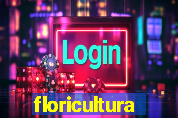 floricultura juazeiro bahia